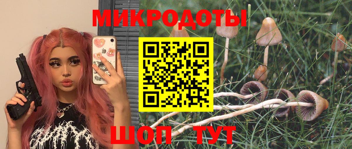 Псилоцибиновые грибы Psilocybine cubensis  Вход с VPN  Дедовск 